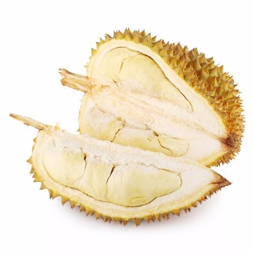 九游电竞官网产品名称二